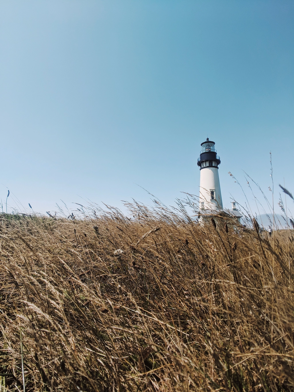 Un phare derrière un champ d'herbe brunie au premier plan, sur un ciel bleu.
